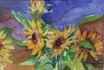 2003 First Sunflowers web