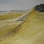 2006 Egyptian Desert web