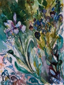 2004 Maya’s Irises
