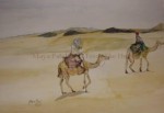 2006 Road To Farafra Egypt