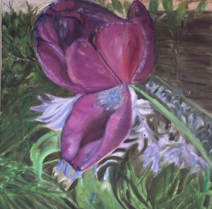 2017 Bergen Purple Tulip 76x76cm