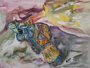 2016 Frog 29x39cm