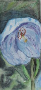 2016 Poppy 49x22cm