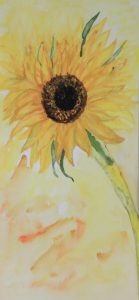 2016 Surrey Sunflowers 49x22cm