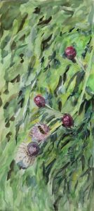 2016 Thistle 43x17cm