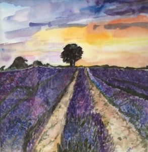 Mayfield-Lavender